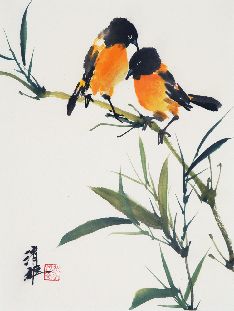 Oriole 2006