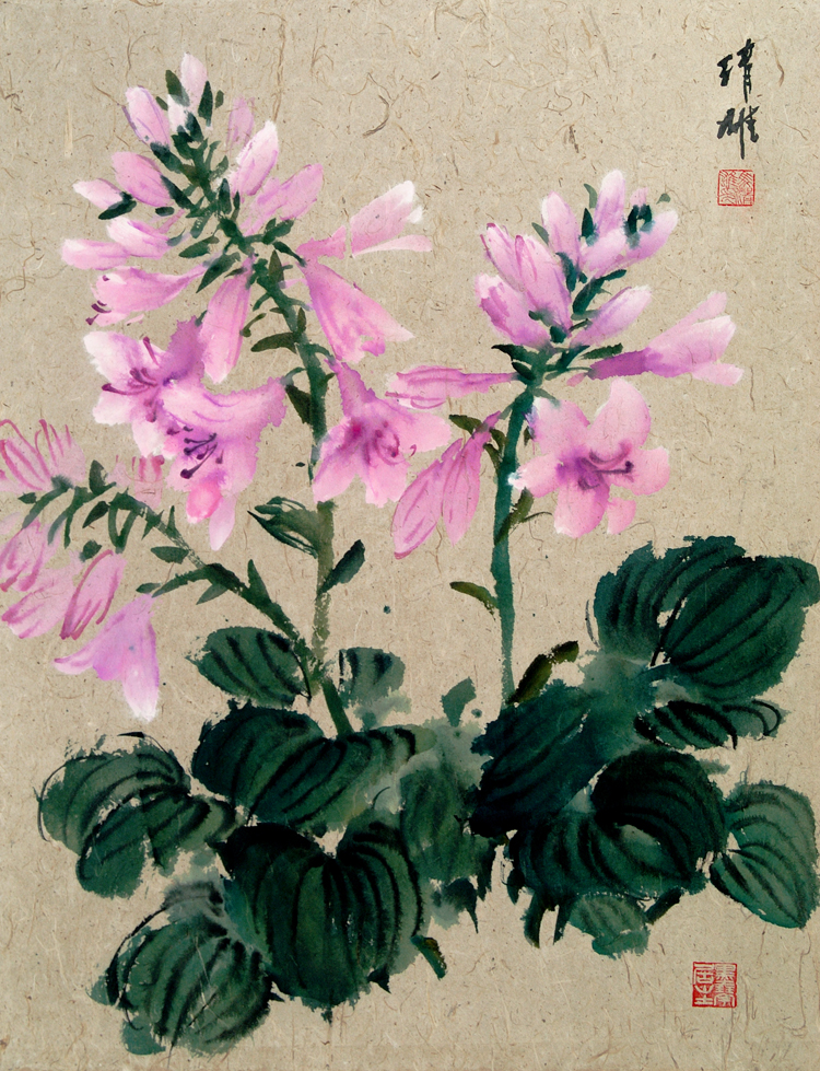 Hosta 2003