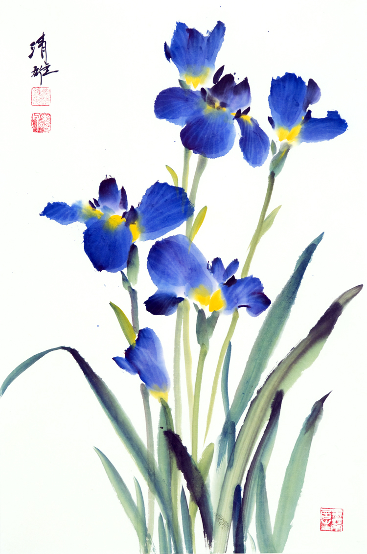 Iris 2009