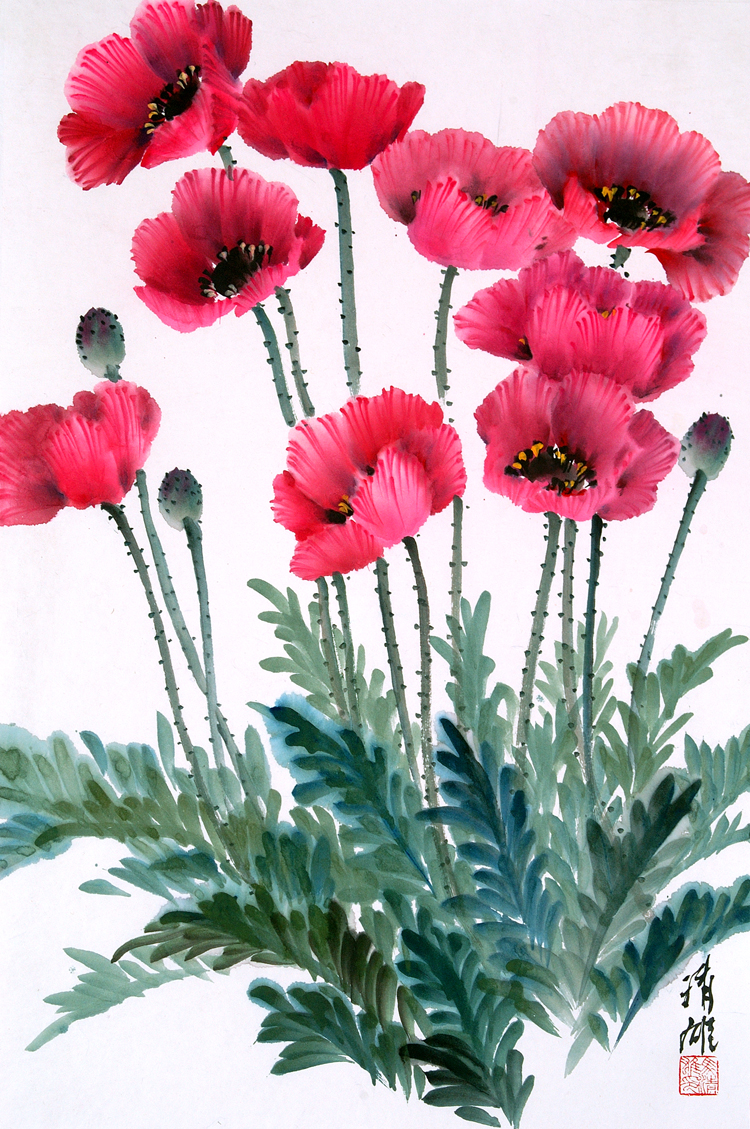 Poppy 2005