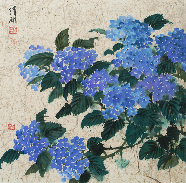 Hydrangea 2003