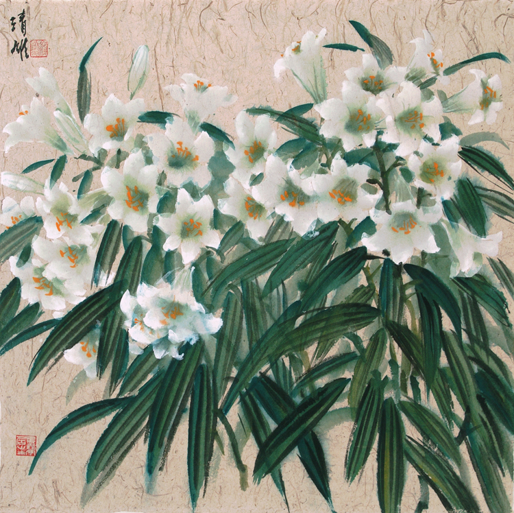 Lily 2003